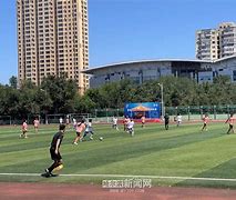 哈尔滨冰城队遇困难，全队齐心协力应对难关的简单介绍