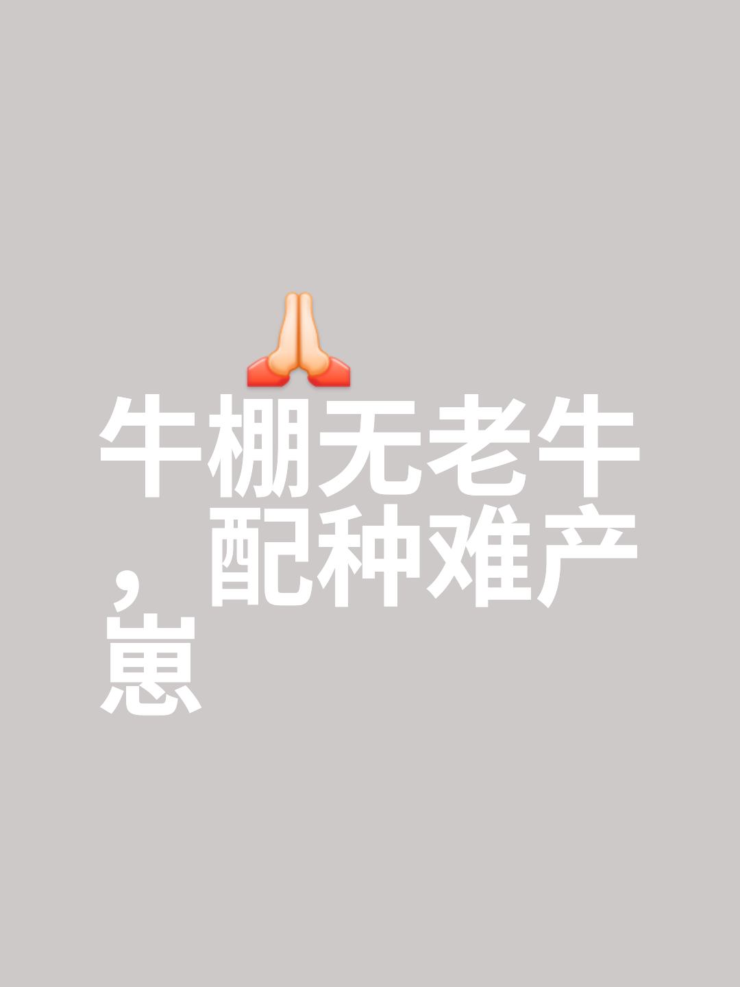 半岛体育在线官网-小牛关键时刻决胜，顶住压力的简单介绍